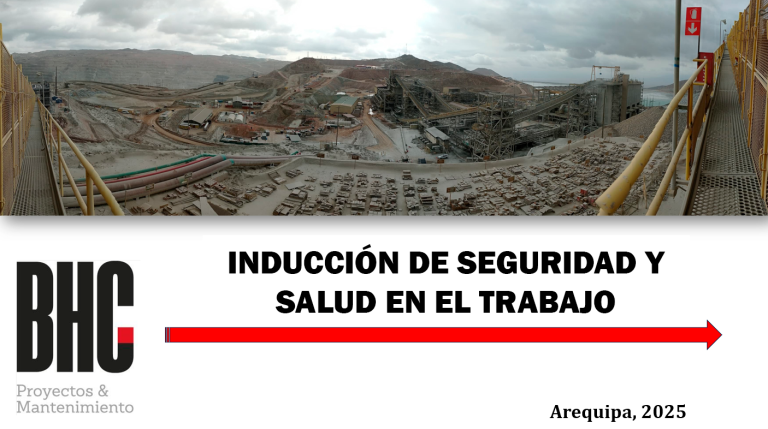 Protegido: Inducción de Seguridad y Salud en el Trabajo